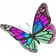 Butterfly Embroidery Pattern