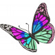 Butterfly Embroidery Pattern