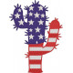 USA Cactus Patriotic