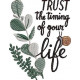 Trust The Timing Of Your Life 