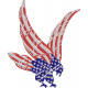 American Eagle  