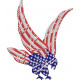 American Eagle  